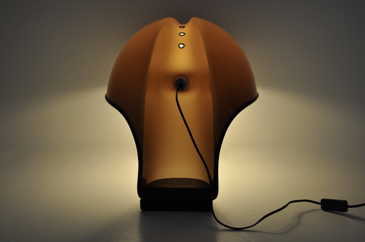 Albanella Table Lamp by Sergio Brazzoli & Ermanno Lampa for Harvey Guzzini, 1970