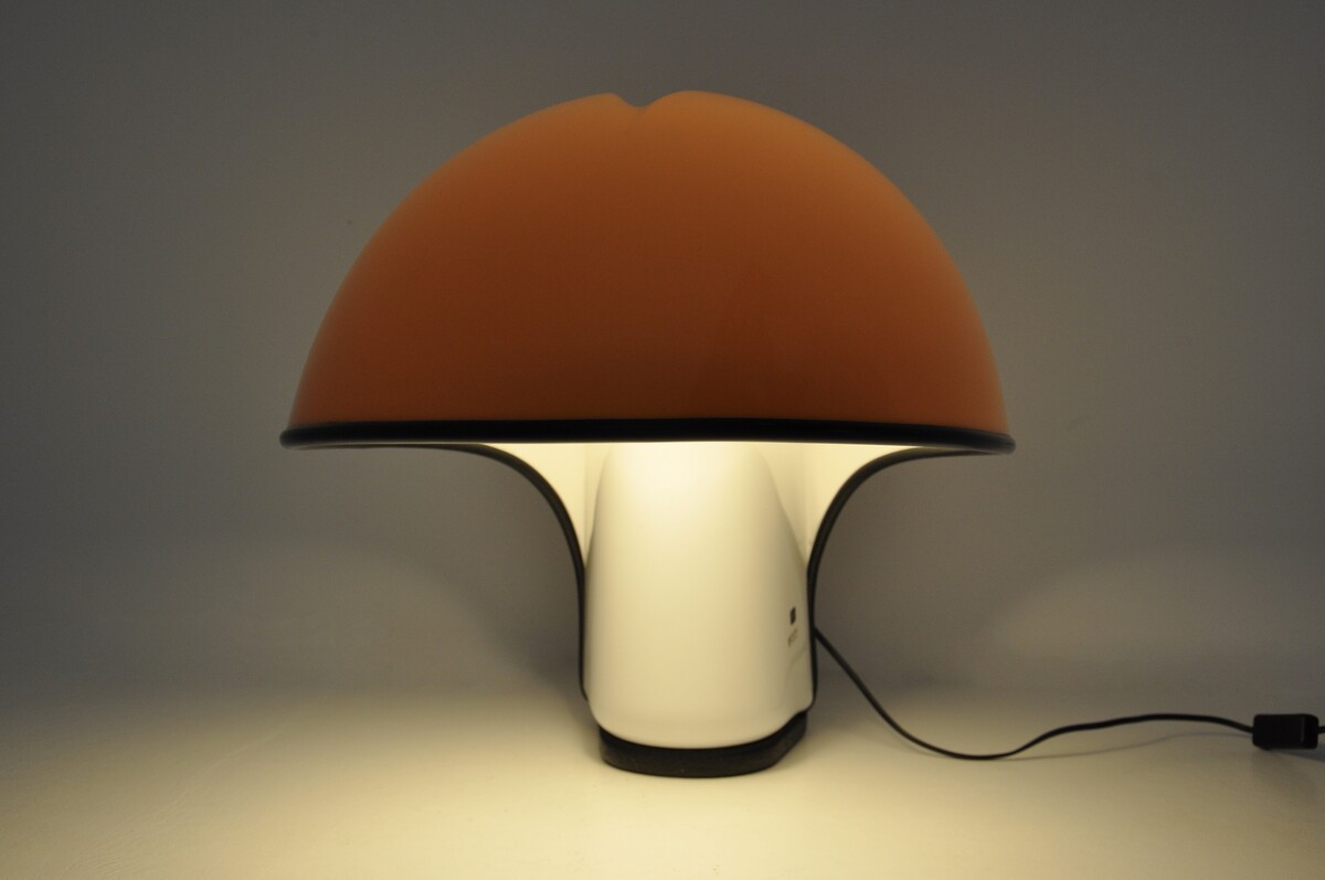 Albanella Table Lamp by Sergio Brazzoli & Ermanno Lampa for Harvey Guzzini, 1970