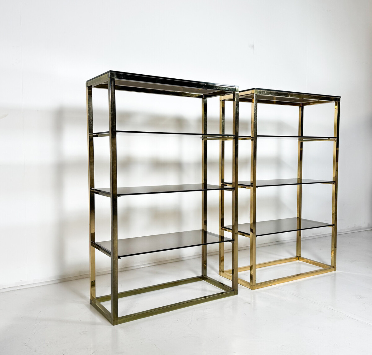 Mid-Century Modern Pair of Shelves, Glass and metal