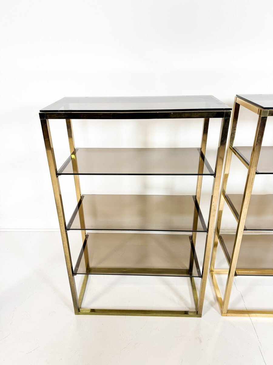 Mid-Century Modern Pair of Shelves, Glass and metal