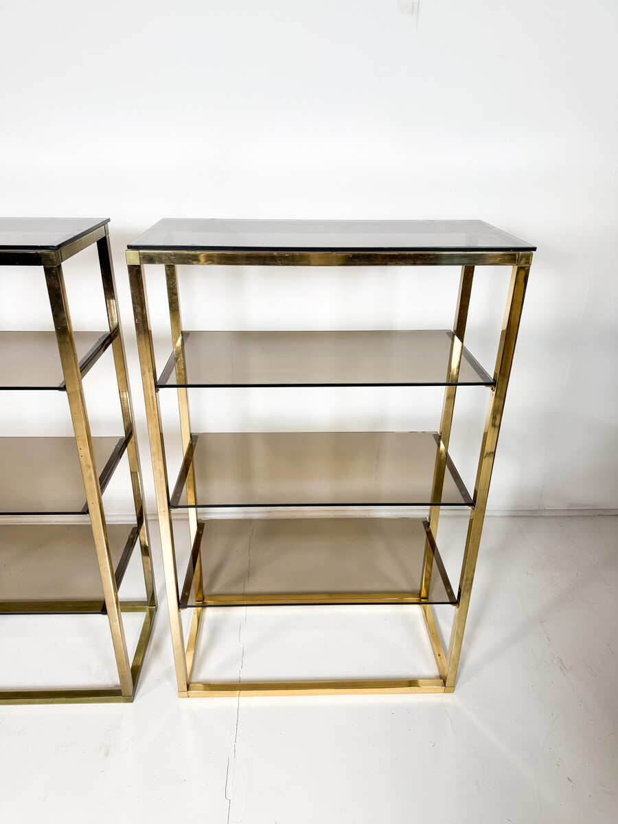 Mid-Century Modern Pair of Shelves, Glass and metal