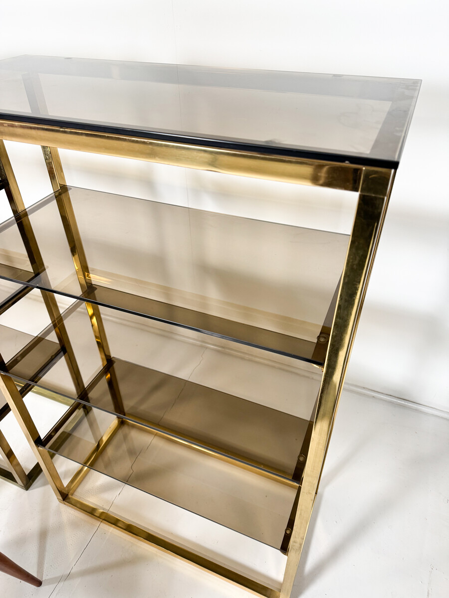 Mid-Century Modern Pair of Shelves, Glass and metal