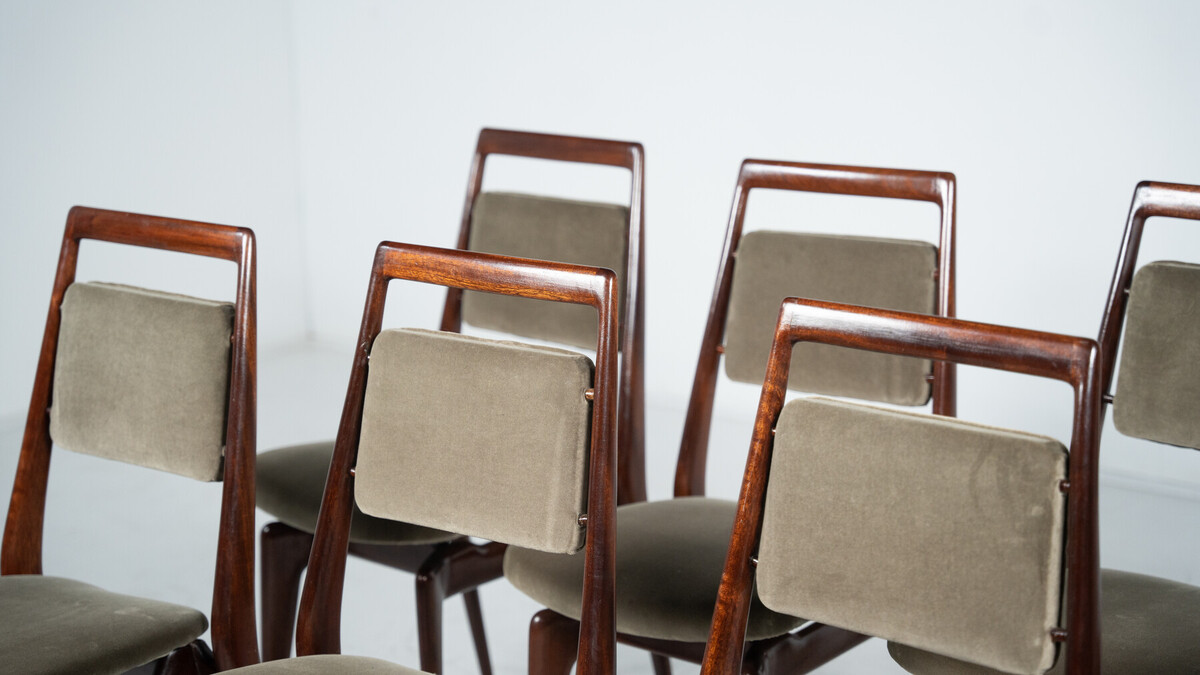 Mid-Century Modern Set of 8 Chairs by Vittorio Dassi, Italy, 1950s