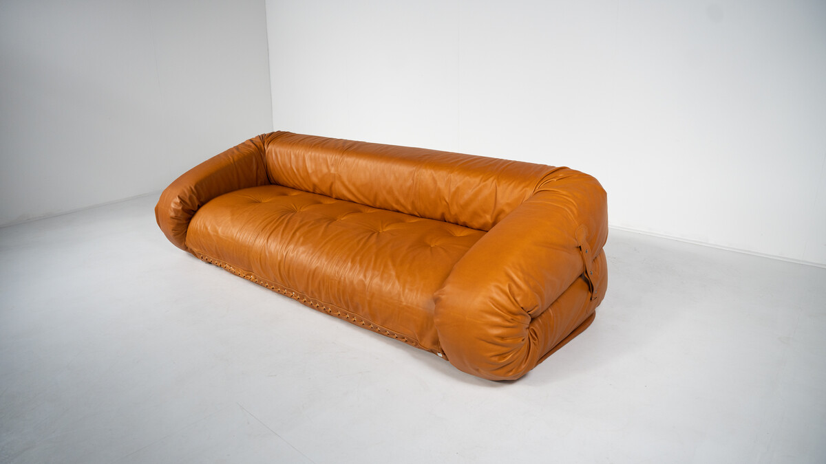 Mid-Century Sofa / Bed model ''Anfibio