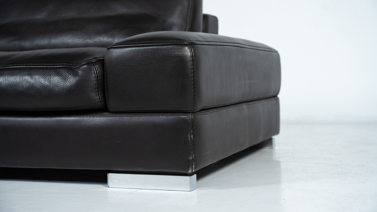 Roche bobois Sofa