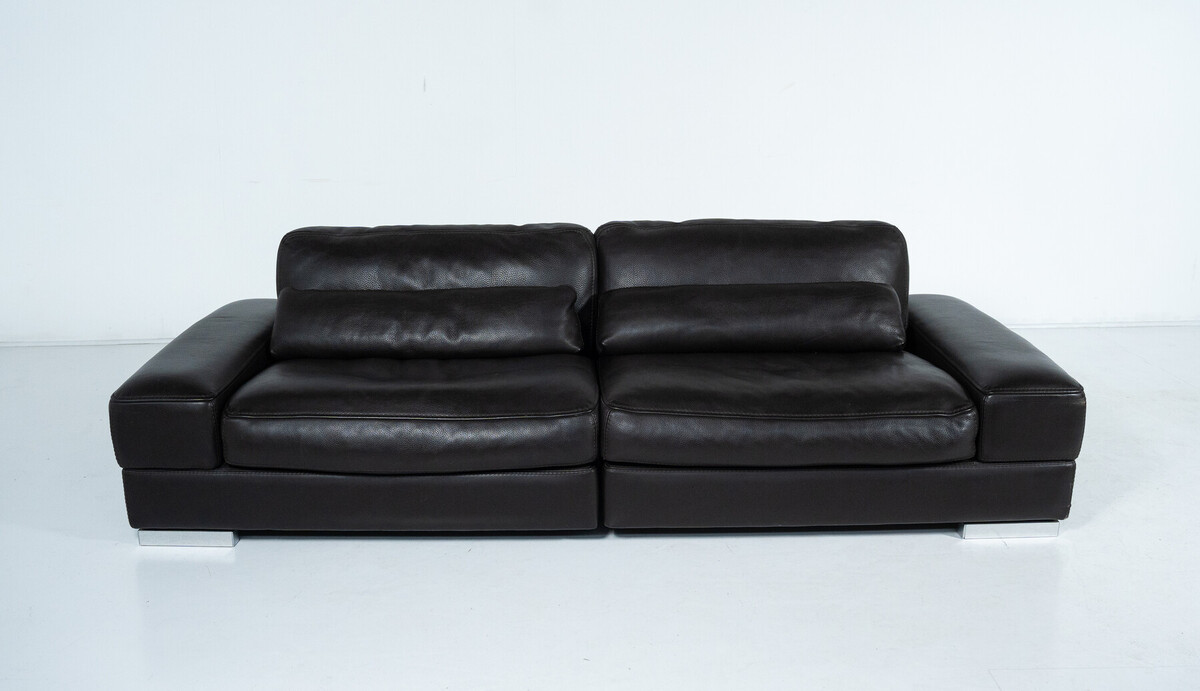 Roche bobois Sofa